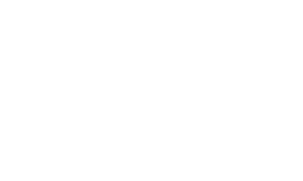 Sea Breezers logo
